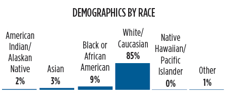 Demographics by race